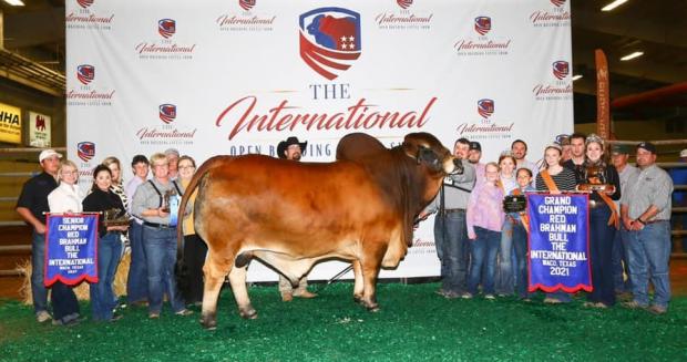 Maternal Grand Sire: Polled Pathfinder