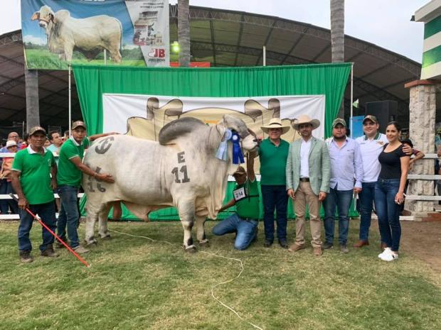 Champion Son in Ecuador