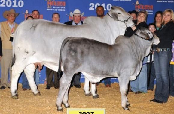 Dam of Moreno Ms. Lady Reba Kay: +Moreno Ms. Lady Reba 112