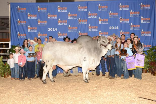  sire - 313/8 Clanton Houston 2014