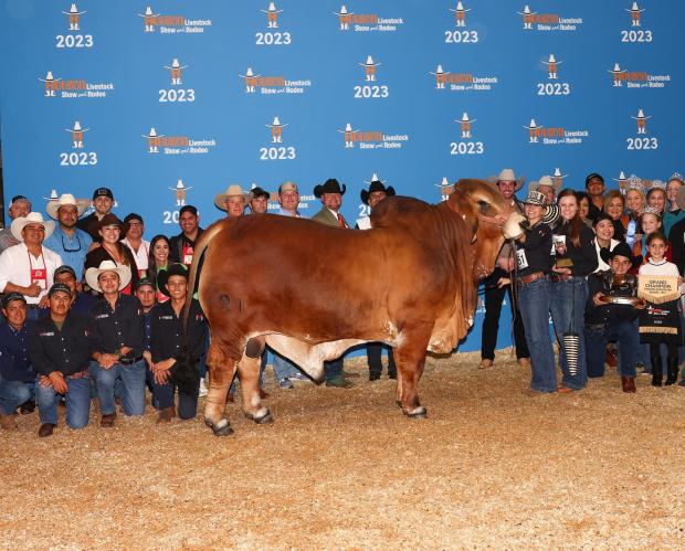 Paternal Half Brother – 2023 International Champion Red Bull