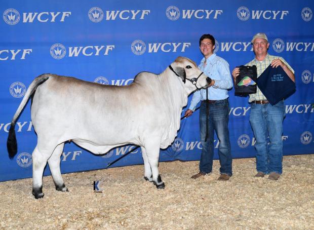 Full Sister to embryos shown by the Vacek Family