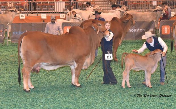 Full Sister owned by the Circle Ranch 