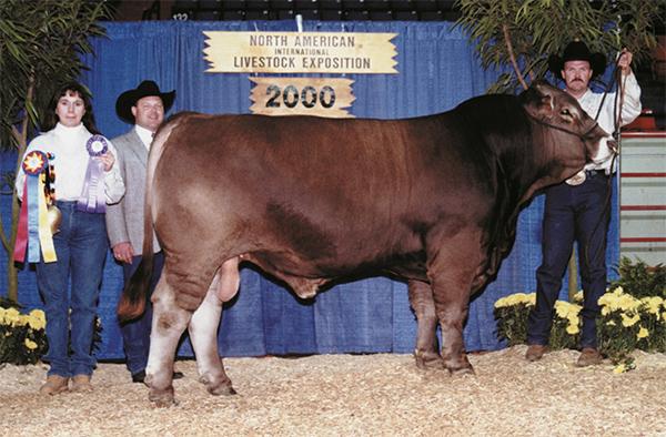 The famous champion Pappa Gene is the sire of LMC LF Pops