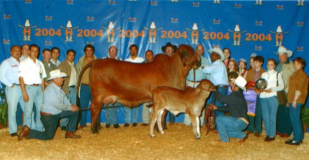 VL Elena 30/1: Daughter: International Grand Champion Houston