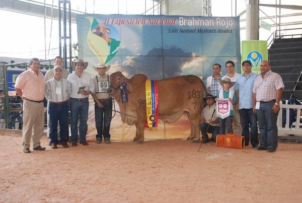 Daughter of VL Rojo Grande 4/95 : National Grand Champion Columbia 2009