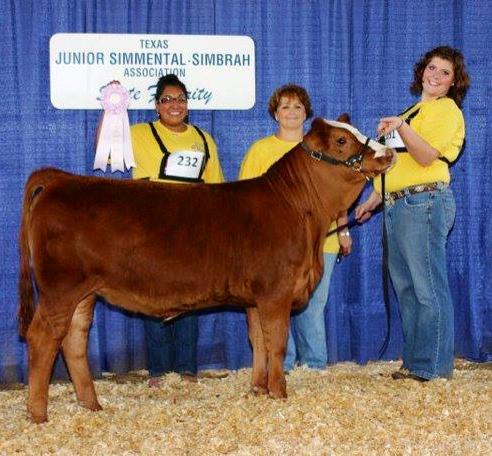 Lot 4 Dam – LHH Mariposa, two times AJSA National Champion (sired by JWB Amigo)