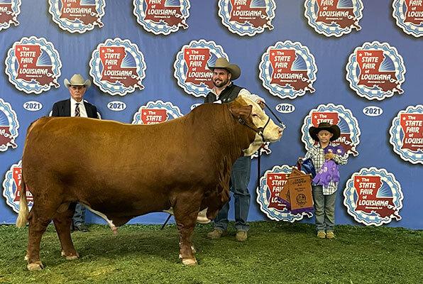  Sire of SR BROWN EYES 2020 UBB Show Bull of the Year