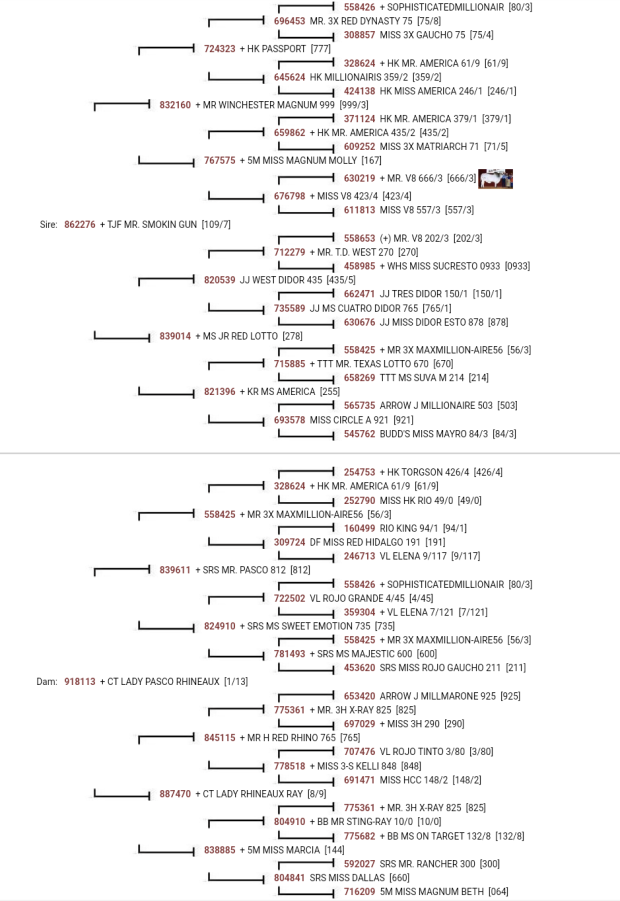 Dam Pedigree