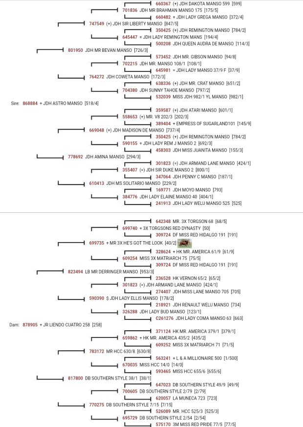 Sire Pedigree