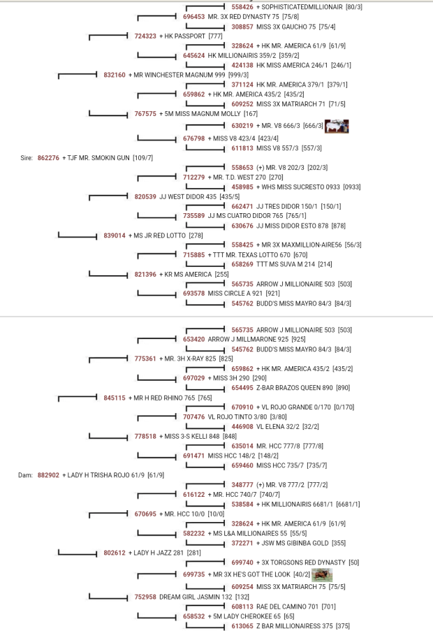 Dam Pedigree