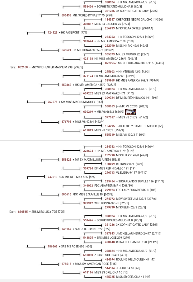 Sire Pedigree