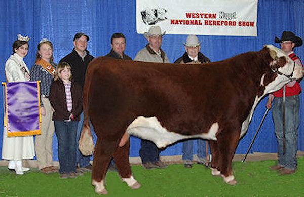 C Chandler 0100 - Service Sire